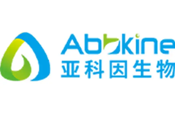 科研试剂企业官网重构：亚科因（Abbkine）定制开发与平滑迁移复盘